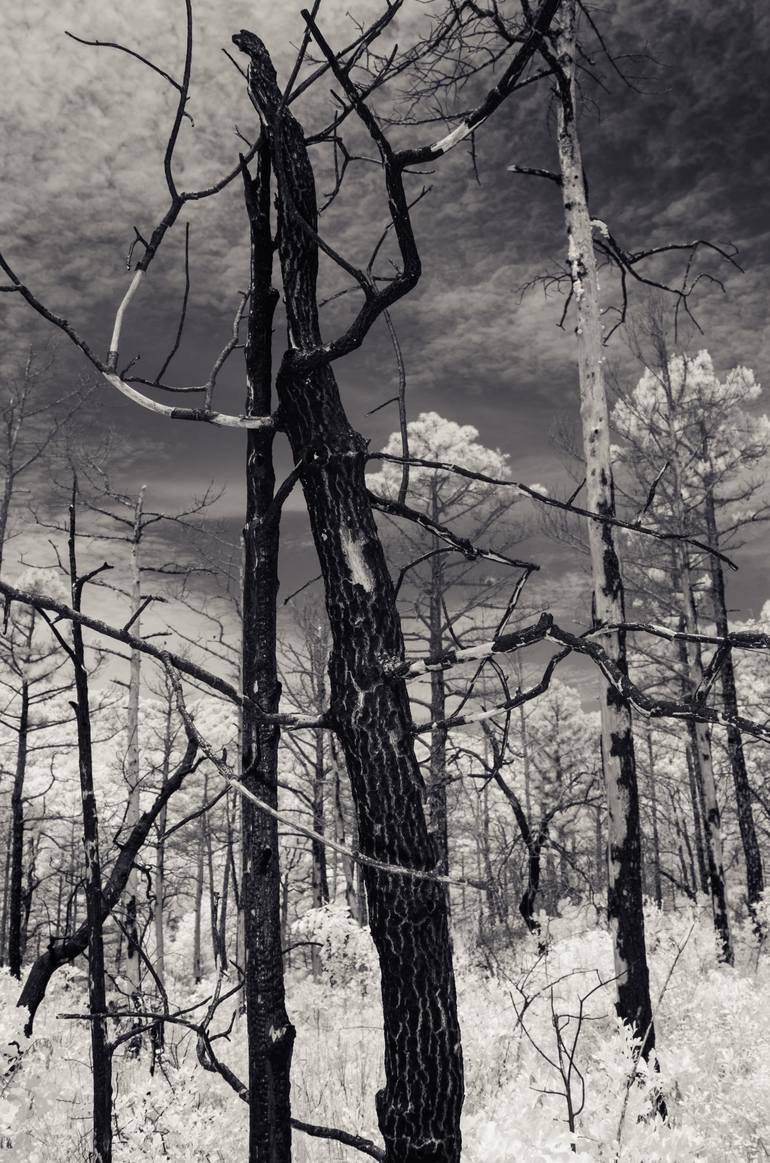 Original Black & White Landscape Photography by Ian Campbell