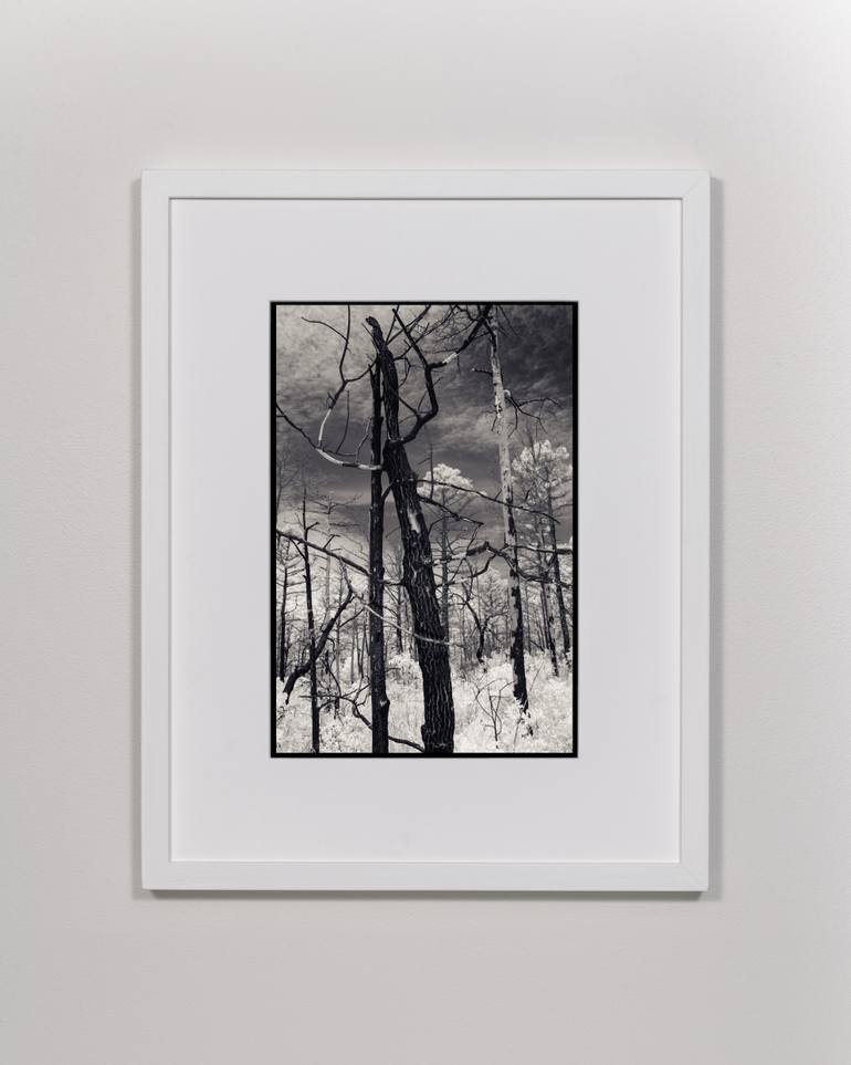 Original Black & White Landscape Photography by Ian Campbell