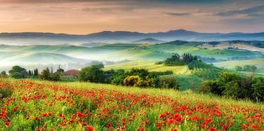 Tuscany Poppies - Open Edition thumb