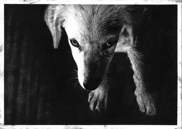 Print of Photorealism Dogs Drawings by Roger Langdon