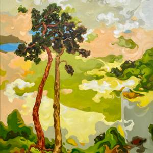 Collection Vibrant Landscapes