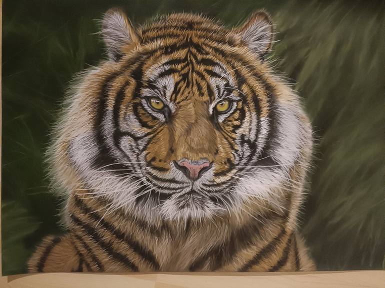 Malayan Tiger Drawing