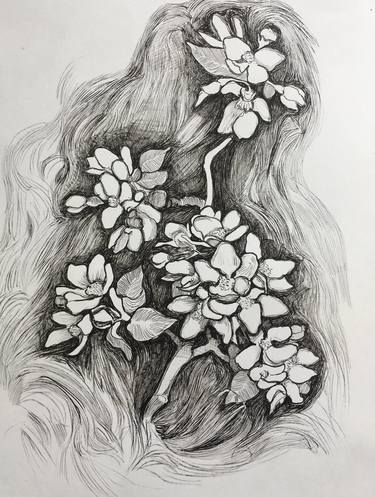 Original Floral Drawings by Raffi Ghazaryan