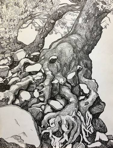 Original Tree Drawings by Raffi Ghazaryan