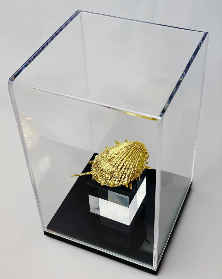 CANOPUS - Gold shell sculpture - Print