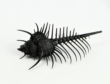 DRACONIS - Modern sculpture - Black sculpture thumb