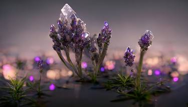 Lavender Dreams thumb