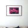 framed in living space