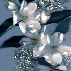 'Snowy Blooms' (S) Limited Edition Fine Art Print
