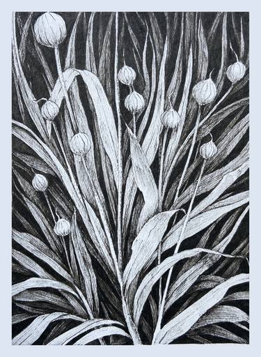 Original Black & White Floral Drawing by Sergii Simutin