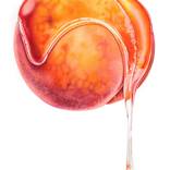 Collection The Other Art Fair March 2026 | Women To Watch