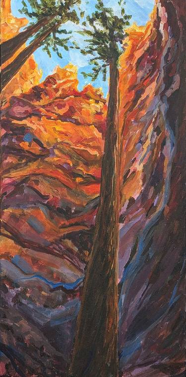 Bryce Canyon Pines thumb