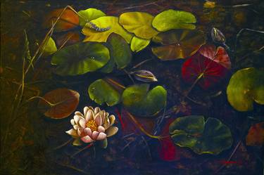 Water lilies with marsh leaves thumb