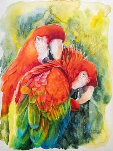 Watercolours Birds Paintings Saatchi Art