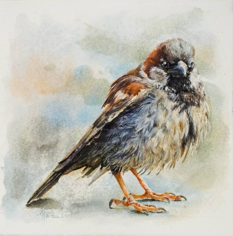Sold at Auction: Unknown, Original Gouche Painting of Indian Bird: Sparrow