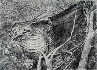 Print of Realism Landscape Drawings by Sharon Reeber