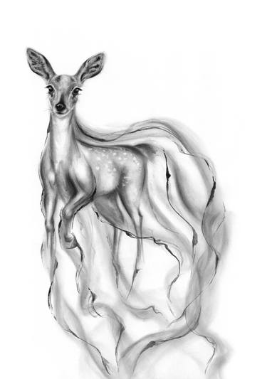 Print of Conceptual Animal Drawings by shima vosoughian