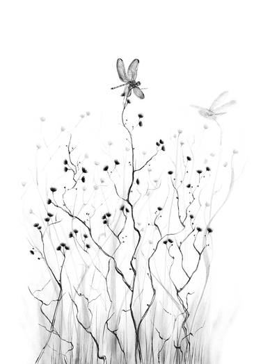 Print of Nature Drawings by shima vosoughian