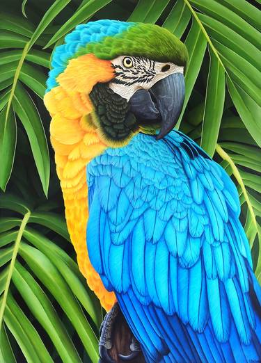 Print of Realism Animal Paintings by Aline Belliard