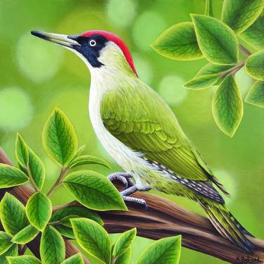 Original Photorealism Animal Painting by Aline Belliard