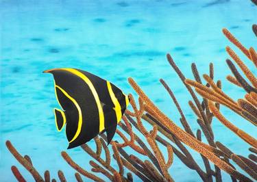 Original Photorealism Fish Paintings by Aline Belliard