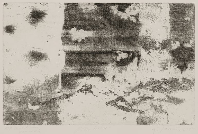 Original Abstract Nature Printmaking by Tea Lovric