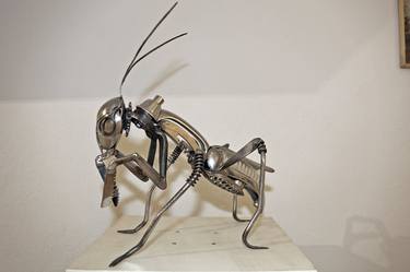 Original Figurative Animal Sculpture by Giovanna De Mitri