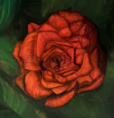 Original Fine Art Floral Paintings by Heather Sportsman