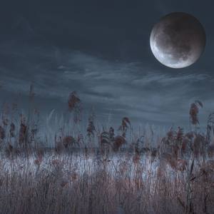 Collection Digital Art: Natural Landscapes