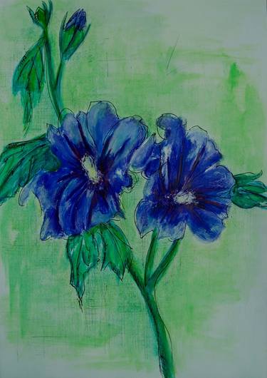 Original Floral Drawings by Hajnalka Peterfy