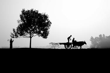 Print of Rural life Photography by Muhammad Amdad Hossain