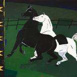 Horse - by colby edwards