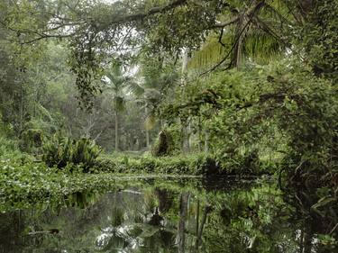 Print of Conceptual Landscape Photography by Jelle Vans