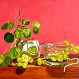 Collection Jewel Tones