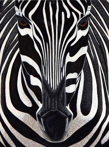Zebra Portrait - Endangered Species of Africa thumb