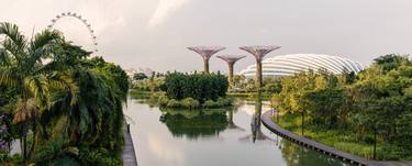 Singapore, Supertrees and Lake at Gardens by the Bay thumb