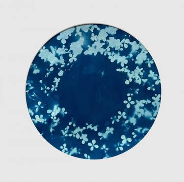 cyanotype 3 thumb