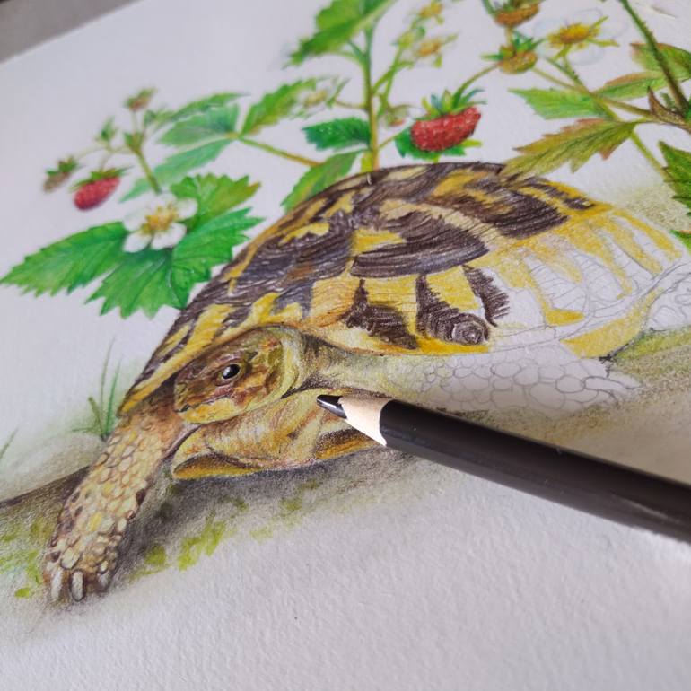 Original Realism Nature Drawing by Sergio Trama