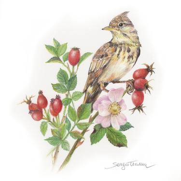 Print of Realism Nature Drawings by Sergio Trama
