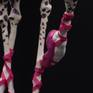 Legs of giraffe in a ballet position