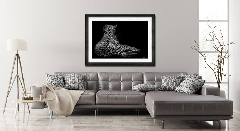 Original Fine Art Animal Photography by Derek Nielsen
