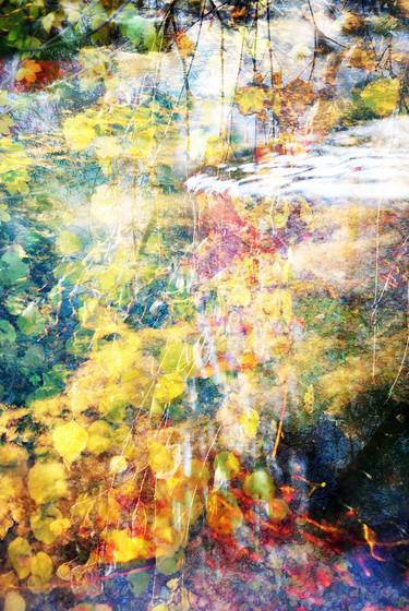 Original Abstract Expressionism Nature Photography by Leo Schulz