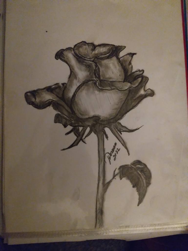 Original Other Men Drawing by Jennifer Dorman