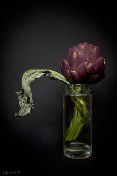 Print of Realism Floral Photography by Robert Oswald