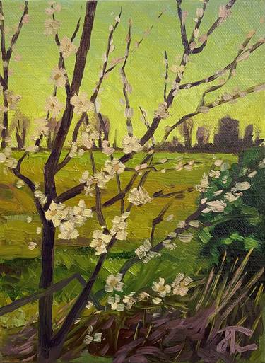 Original Expressionism Landscape Paintings by Jo Thorne