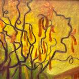 Here Come the Catkins by Jo Thorne