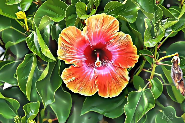 View in a Room Artwork