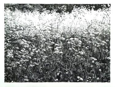 Print of Figurative Floral Drawings by Alice Brasser