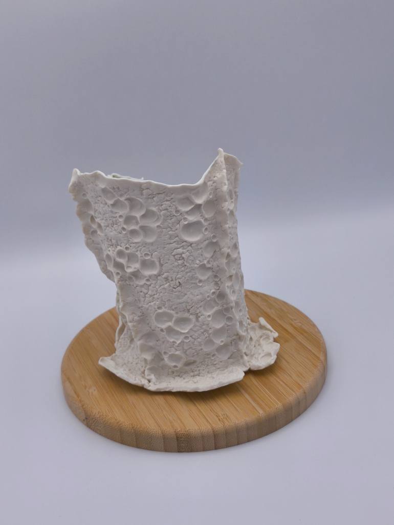 Original Abstract Nature Sculpture by S C
