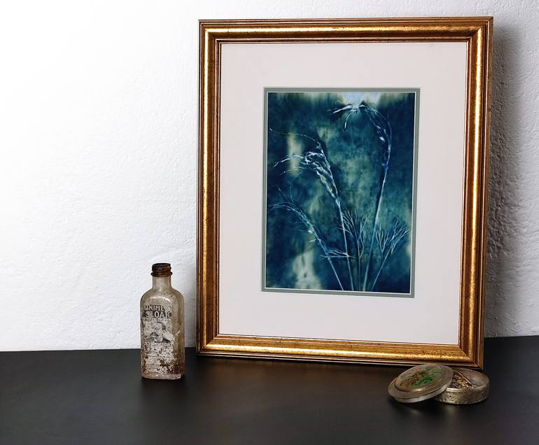 Original Abstract Botanic Photography by S C